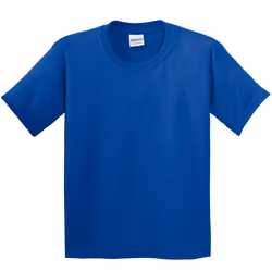 Gildan Childrens Unisex Heavy Cotton T-Shirt (Pack Of 2) - XS, Royal