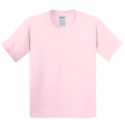 Gildan Childrens Unisex Soft Style T-Shirt (Pack Of 2) - L, Light Pink