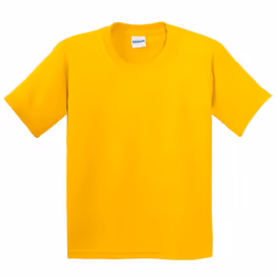 Gildan Childrens Unisex Soft Style T-Shirt (Pack Of 2) - XS, Daisy