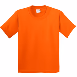 Gildan Childrens Unisex Soft Style T-Shirt (Pack Of 2) - XS, Orange