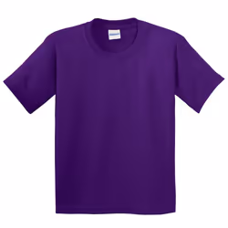Gildan Childrens Unisex Soft Style T-Shirt (Pack Of 2) - XS, Purple