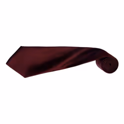 Premier Mens Plain Satin Tie (Narrow Blade) (Pack of 2) - One Size, Burgundy