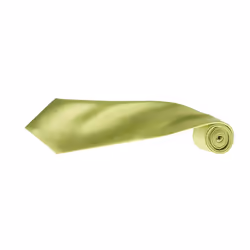 Premier Mens Plain Satin Tie (Narrow Blade) (Pack of 2) - One Size, Lime