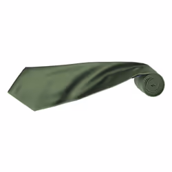 Premier Mens Plain Satin Tie (Narrow Blade) (Pack of 2) - One Size, Olive