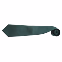 Premier Mens âColoursâ Plain Fashion / Business Tie (Pack of 2) - One Size, Bottle