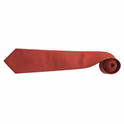 Premier Mens âColoursâ Plain Fashion / Business Tie (Pack of 2) - One Size, Burgundy