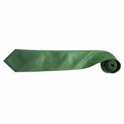 Premier Mens âColoursâ Plain Fashion / Business Tie (Pack of 2) - One Size, Emerald