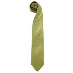 Premier Mens âColoursâ Plain Fashion / Business Tie (Pack of 2) - One Size, Grass