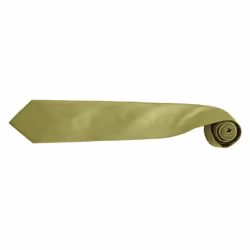 Premier Mens âColoursâ Plain Fashion / Business Tie (Pack of 2) - One Size, Grass