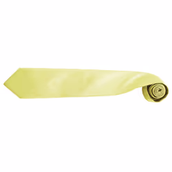 Premier Mens âColoursâ Plain Fashion / Business Tie (Pack of 2) - One Size, Lime