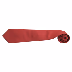Premier Mens âColoursâ Plain Fashion / Business Tie (Pack of 2) - One Size, Red