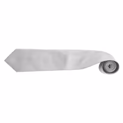 Premier Mens âColoursâ Plain Fashion / Business Tie (Pack of 2) - One Size, Silver