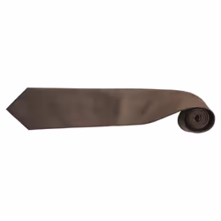 Premier Mens Fashion âColoursâ Work Clip On Tie (Pack of 2) - One Size, Brown