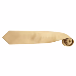 Premier Mens Fashion âColoursâ Work Clip On Tie (Pack of 2) - One Size, Gold