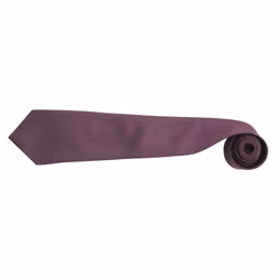 Premier Mens Fashion âColoursâ Work Clip On Tie (Pack of 2) - One Size, Purple