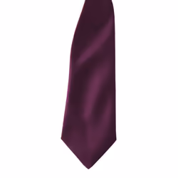 Premier Colours Mens Satin Clip Tie (Pack of 2) - One size, Aubergine