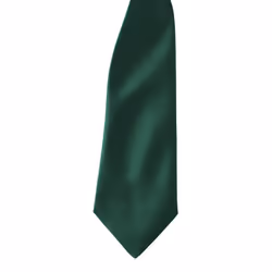 Premier Colours Mens Satin Clip Tie (Pack of 2) - One size, Bottle