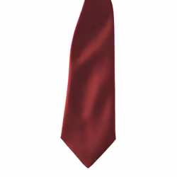 Premier Colours Mens Satin Clip Tie (Pack of 2) - One size, Burgundy