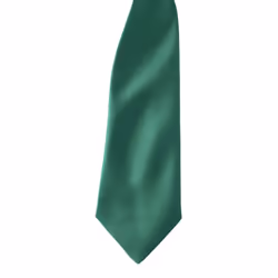 Premier Colours Mens Satin Clip Tie (Pack of 2) - One size, Emerald