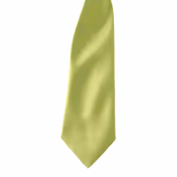 Premier Colours Mens Satin Clip Tie (Pack of 2) - One size, Lime