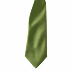 Premier Colours Mens Satin Clip Tie (Pack of 2) - One size, Oasis Green