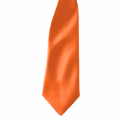 Premier Colours Mens Satin Clip Tie (Pack of 2) - One size, Orange