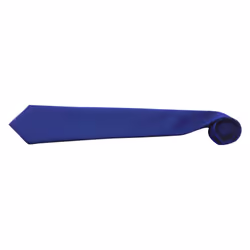 Premier Tie - Men Plain Work Tie (Pack of 2) - One Size, Royal