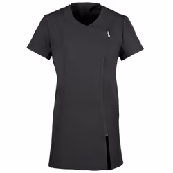 Premier Ladies/Womens *Camellia* Tunic / Health Beauty & Spa / Workwear (Pack of 2) - 8, Black