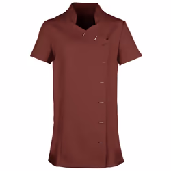 Premier Womens/Ladies *Orchid* Tunic / Health Beauty & Spa / Workwear (Pack of 2) - 16, Burgundy