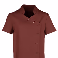 Premier Womens/Ladies *Orchid* Tunic / Health Beauty & Spa / Workwear (Pack of 2) - 8, Burgundy
