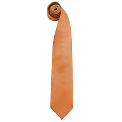 Premier Mens âColoursâ Plain Fashion / Business Tie (Pack of 2) - One Size, Orange