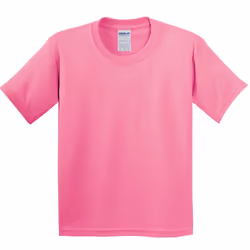 Gildan Childrens Unisex Heavy Cotton T-Shirt (Pack Of 2) - XS, Azalea