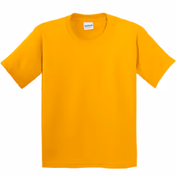 Gildan Childrens Unisex Heavy Cotton T-Shirt (Pack Of 2) - XS, Gold