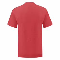 Fruit Of The Loom Mens Iconic T-Shirt - S, Heather Red
