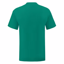 Fruit Of The Loom Mens Iconic T-Shirt - XL, Heather Green