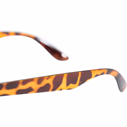Trespass Matter Sunglasses