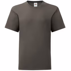 Fruit Of The Loom Boys Iconic T-Shirt - 12-13 Years, Light Graphite Grey