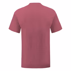 Fruit Of The Loom Mens Iconic T-Shirt - 3XL, Heather Burgundy