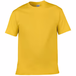 Gildan Mens Short Sleeve Soft-Style T-Shirt - 4XL, Daisy