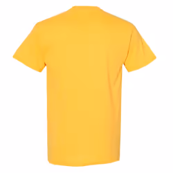 Gildan Mens Heavy Cotton Short Sleeve T-Shirt - 3XL, Charcoal