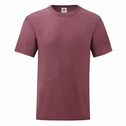 Fruit Of The Loom Mens Valueweight Short Sleeve T-Shirt - 2XL, Heather Burgundy