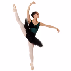 , White) Silky Womens/Ladies Dance Ballet Tights Convertible (1 Pair) - Medium (5ft-5ft8â