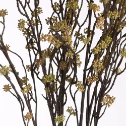 Hill Interiors Branch In Bloom Filler