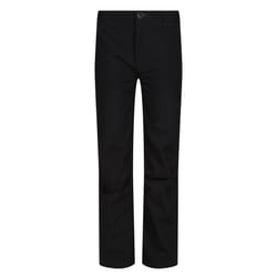 Regatta Great Outdoors Childrens/Kids Dayhike II Stretch Trousers