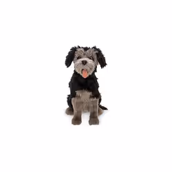 Lady and the Tramp Live Action Tramp Plush New with Tag