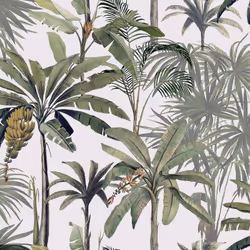 Tropical Cream Green Banana Leaves Wallpaper Botanical Textured