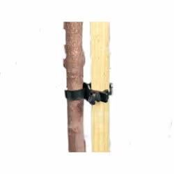 Ambassador Soft Shrub Ties (Pack Of 2) - 11 x 26 x 1.5cm, Black