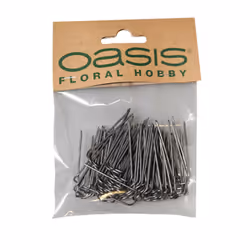 Oasis German Pins