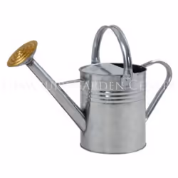 Ambassador Galvanised Watering Can - 9l, Silver