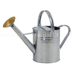 Ambassador Galvanised Watering Can - 9l, Silver